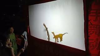 中国湖北皮影戏 Chinese shadow puppetry