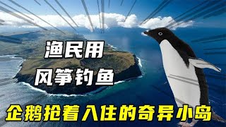 渔民用风筝钓鱼，袋鼠生活在树上，企鹅都抢着入住的太平洋诸岛。