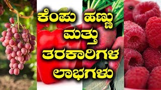 Benefits Of Red Coloured Fruits \u0026 Veggies  |  ಕೆಂಪು ಬಣ್ಣದ ಹಣ್ಣು ತರಕಾರಿಗಳ ವಿಶೇಷ ಲಾಭಗಳು