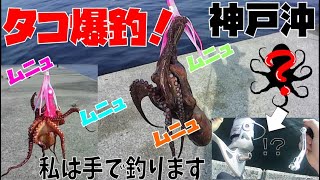 【リールが大破...??】タコ釣りは手でやらんか？？　【神戸沖堤防】