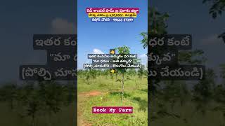 తక్కువ ధర- ఎక్కువ ఆదాయం #shorts #short #trending #viralvideo #shortvideo #youtubeshorts #love #funny