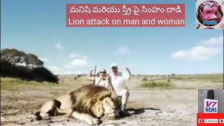 మనిషి మరియు స్త్రీ పై సింహం దాడి // Lion attack on man and woman #Lion #attack #v7 #V7 NEWS CHANNEL