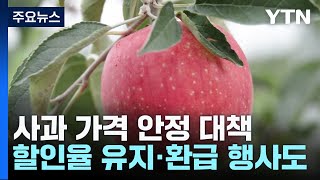 '금보다 사과?'...사과 안심 프로젝트로 잡힐까? / YTN