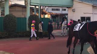 2019.1.10 浦和🐎12R エンプレスダンス\u0026柏木健宏騎手 騎乗