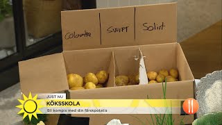 Köksskolan: Så skiljer du på olika sorters färskpotatis - Nyhetsmorgon (TV4)