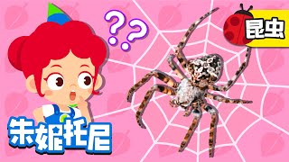 🕸🙅我不是昆虫 | 蜘蛛是昆虫吗 | 昆虫的特征 | 昆虫博士 | Kids Song in Chinese | 兒歌童謠 | 卡通動畫 | 朱妮托尼儿歌 | JunyTony