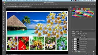 How to Create A Mood Board in Adobe Photoshop ( Part 1)