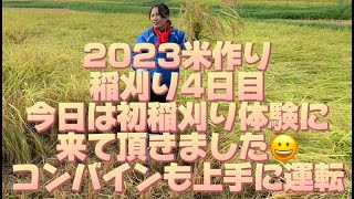 【2023米作り】稲刈り4日目　今日は初稲刈り体験に来て頂きました😀コンバインも上手に運転​⁠  ヤンマーコンバインAJ323 @ufochannel777