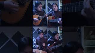 🇪🇨Yaycui - Ñucanchi ñan (Cover Vlady) 🎸