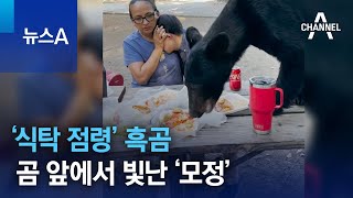 ‘식탁 점령’ 흑곰…곰 앞에서 빛난 ‘모정’ | 뉴스A