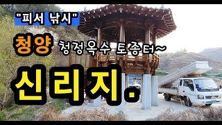 [청양]_ 신리지 / 청정옥수 토종터 계곡지 / 충남 청양군 화성면 수정리 492