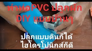 # DIY( ง่ายๆในครัว)# ปลูกผักจากท่อPVC # วิธีปลูกผักสลัด # ไฮโดรโปนิกส์ แนวตั้ง#2(Aeroponics)