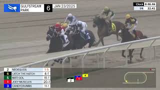 Gulfstream Park Carrera 6 - 23 de Enero 2025