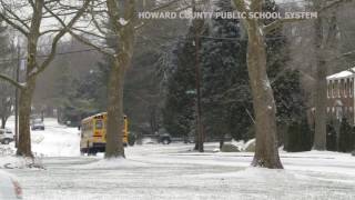 How to Optimize School Bus Networks