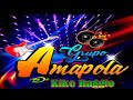 GRUPO AMAPOLA - COPAS DE AMOR - PRIMICIA 2019