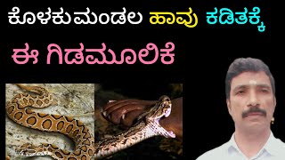 ಹೊಲ ಗದ್ದೆಗಳ ಬದುವಿನಲ್ಲಿ ಮತ್ತು ರಸ್ತೆ ಪಕ್ಕದಲ್ಲಿ   ಸಿಗುವ ಪ್ರಾಣ ಹಾಗೂ  ಲಕ್ಷಾಂತರ ರೂಪಾಯಿ ಉಳಿಸುವ ಗಿಡ ಮೂಲಿಕೆ