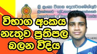 how to see exam results without index number sinhala sri lanka