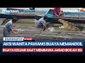 Detik-detik Aksi Wanita Pawang Buaya Memanggil Buaya Keluar Saat Membawa Jasad Bocah SD