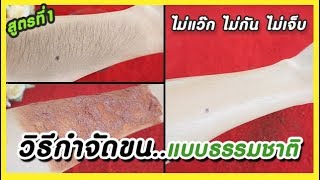 วิธีกำจัดขนแบบธรรมชาติ (ไม่แว๊กขน ไม่กันขน ไม่เจ็บ) ขนหลุดไปเอง Natural hair removal