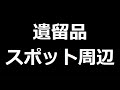 じゃあどこを探したらいいのか 道志村女児行方不明事件40