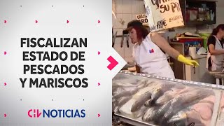 Fiscalizan la venta de PESCADOS Y MARISCOS en el comercio, en previa de Semana Santa - CHV Noticias