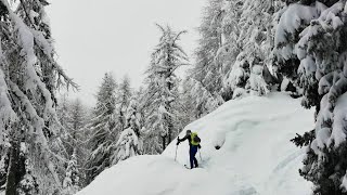 Sentiero del pellegrino e monte Lussari (Tarvisio) - 7/1/24 - skialp