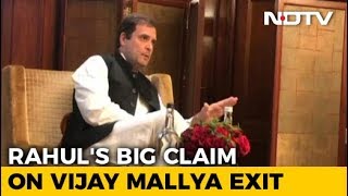 Vijay Mallya Met BJP Leaders Before Leaving India, Says Rahul Gandhi