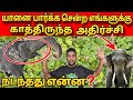 யானைக்கு நடந்த கொடுரம்🐘😡 நடந்தது என்ன⁉️🟥