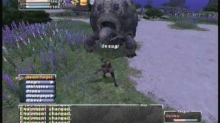 FFXI - Genbu solo (sam/nin)