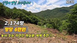 밀양토지(711)밀양 산내면 토지 싸게나온 땅 급매물 자연인토지 싸고넓은 땅 #밀양부동산매물#밀양토지#밀양부동산#밀양전원주택#밀양촌집#밀양농막