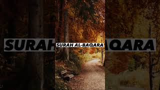 SURAH AL-BAQARA |Ayaat 8-11| Recitation by Mishary Rashid Alafasy | Islam The Heavenly Path