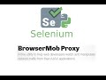 Selenium & Browsermob Proxy