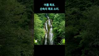 여름 폭포. 산속의 폭포 소리.