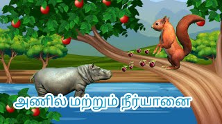 அணில் மற்றும் நீர்யானை கதை| Squirrel and Hippo Story| Tamil Story| Tamil kadhaigal|  @mottuchannel