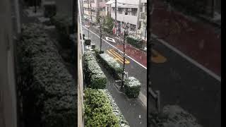 3月29日の雪 @東京2020