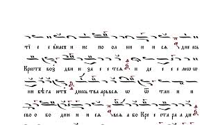 11. Честнаго Креста Христе действо [КРЕСТОВОЗДВИЖЕНИЕ] – Слава, и ныне Литии