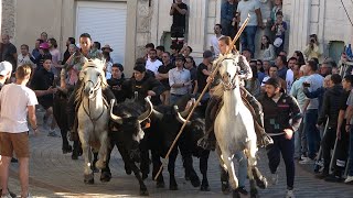 CAISSARGUES-Bandido-18/05/2024-L'Etrier