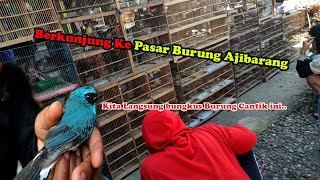 Berkunjung Ke Pasar Burung Ajibarang