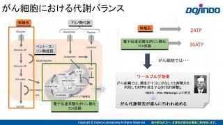 「試薬の選び方」細胞内代謝-30秒　同仁化学研究所