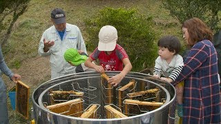 T-STORIES 18：南阿蘇で育てたはちみつ〜熊本地震復興支援の取り組み（熊本県阿蘇郡）