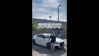 蓝途带你去看车！奥迪三台真假R8！