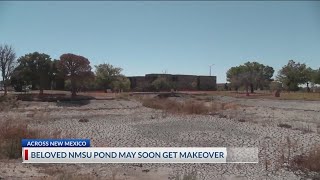 NMSU Alumni Duck Pond to get multimillion makeover