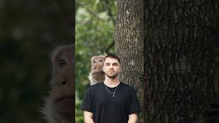 Monkeys & Green Screen! #monkey #greenscreen #model #cinematic #cinema #cinematography #animals