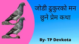 जोडी ढुकुरको मन छुने  प्रेम कथा सुन्नुहोस् र केहि सिक्नुहोस  By #Unikadevkota# Heart touching story