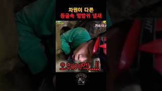 차원이 다른 동굴속 똥방귀 냄새#shorts #일본예능 #일본몰카