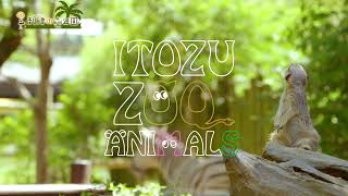 ItozuAnimalZoo 2021年製作★到津の森公園