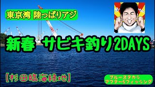 【サビキ釣り】新春、東京湾サビキ釣り2DAYS！厳寒期を迎えた東京湾、横浜でアジ狙いの2DAYS！陸っぱり、堤防からでもアジは釣れるのか?鶴見ふれーゆ裏が現在駐車場閉鎖中のため、杉田臨海緑地へ。