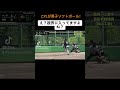 【神判断過ぎる守備】男子　ソフトボール　 ソフトボール softball プロ野球 ウィンドミル 熱盛 野球 ワールドカップ softballplayer 甲子園