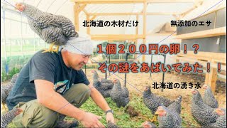 【1個200円の卵】値段高すぎ！？　19歳学生が忖度なしで養鶏場見学！