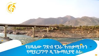 የህዳሴው ግድብ የጋራ ተጠቃሚነትን የሚያረጋግጥ ዲፕሎማሲያዊ ስራ